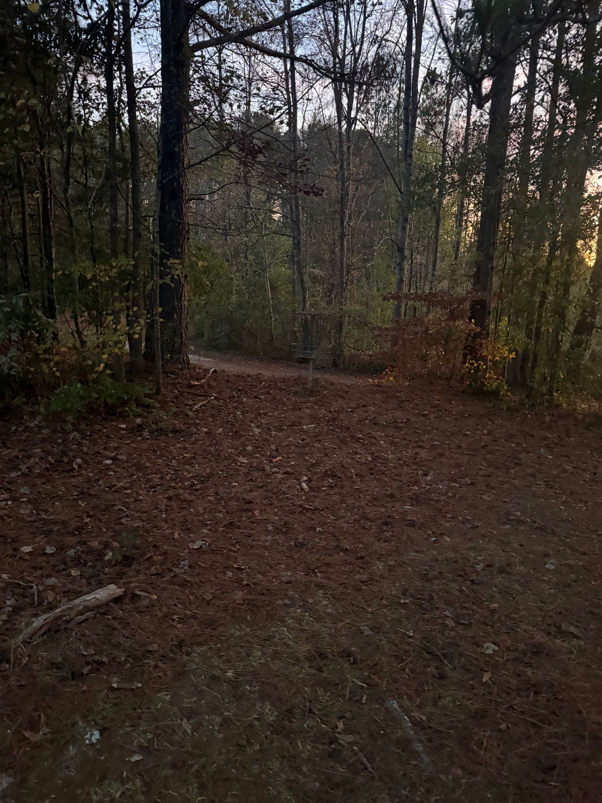 Hole 14 basket