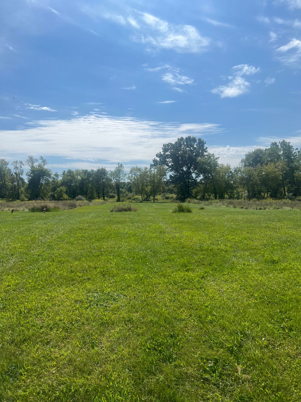 Hole 12 - Mid Approach