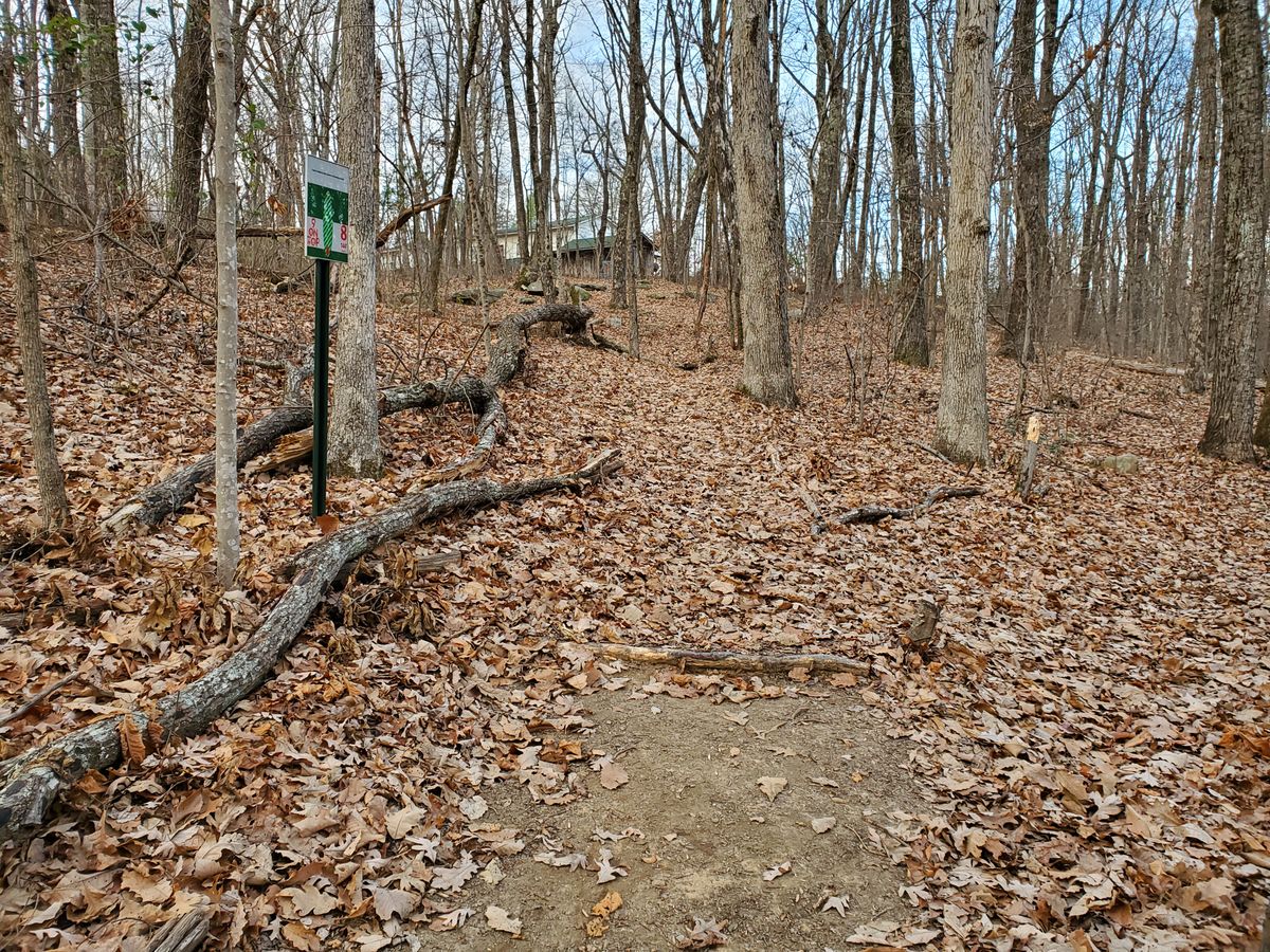 Hole 8 teepad & sign.
