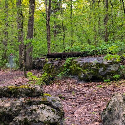 Hole 12