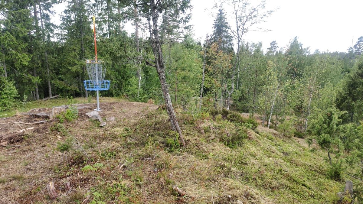 Väylä 6