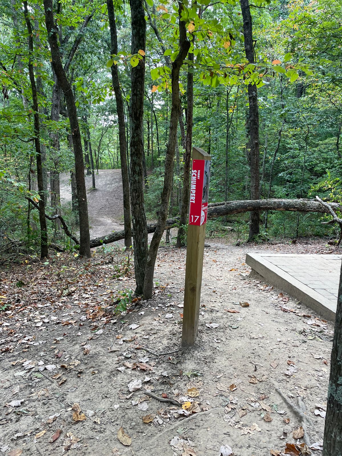 The tee pad looking at the short basket