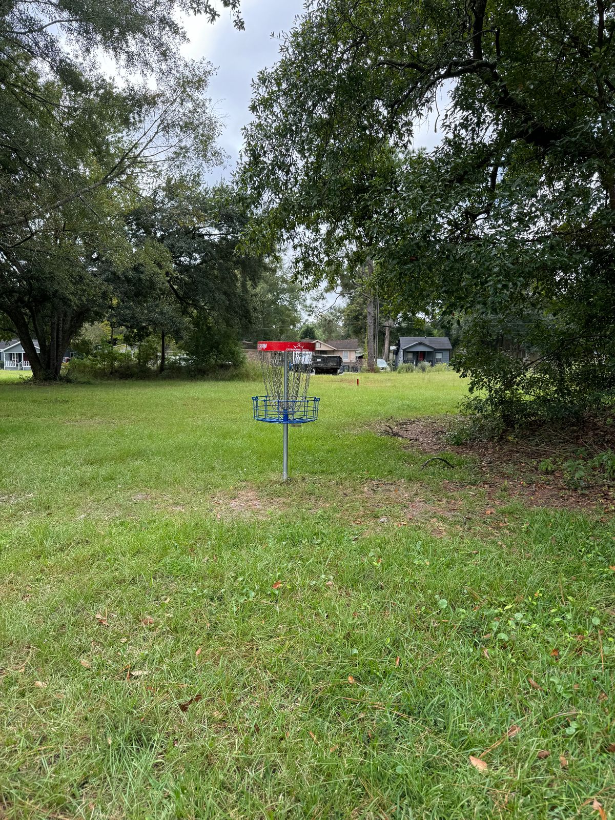 Hole 4 basket