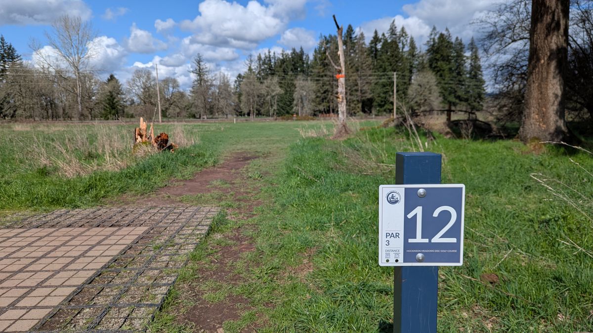 Lost the left tree on hole 12.