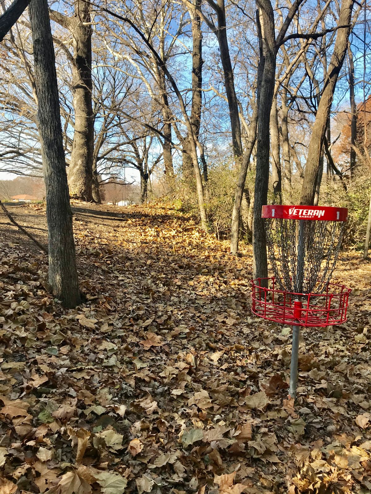 Hole 1 Basket to Tee
