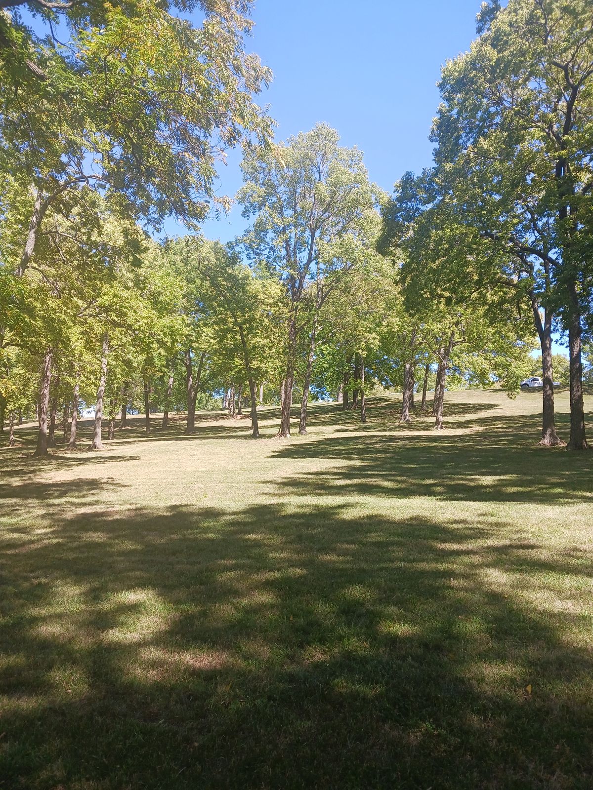 Nice open area with plenty of shade