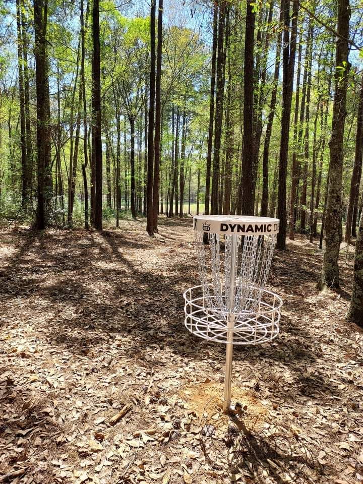 Hole-7 Pin