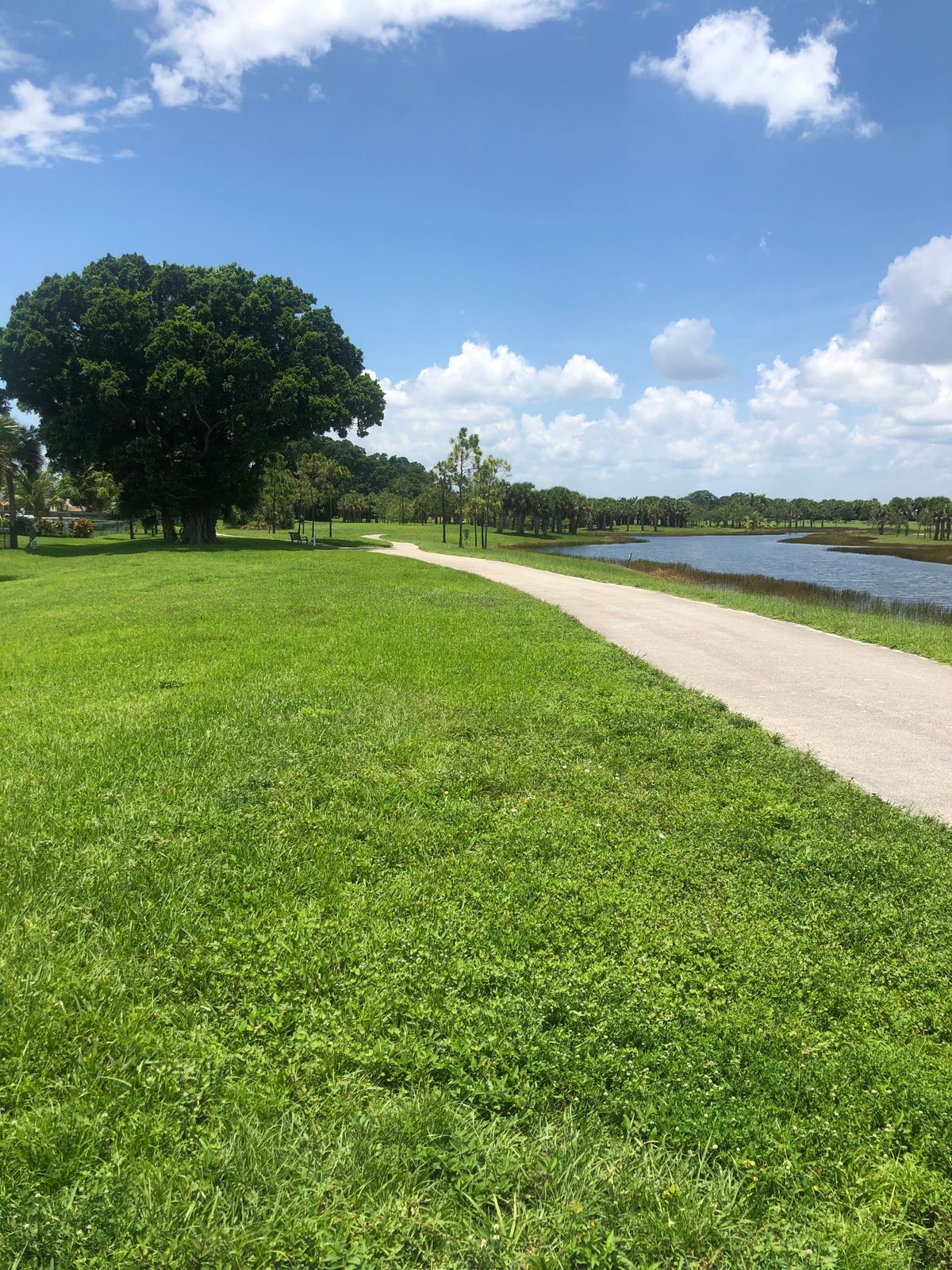 Hole 9