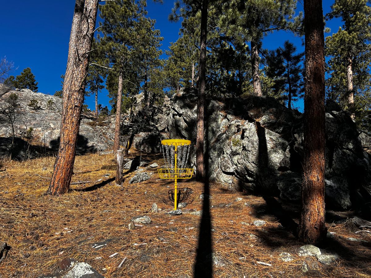 Basket #4. (Crooked Oak)