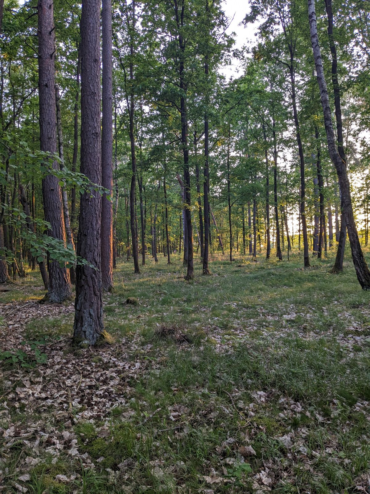 Hole 14