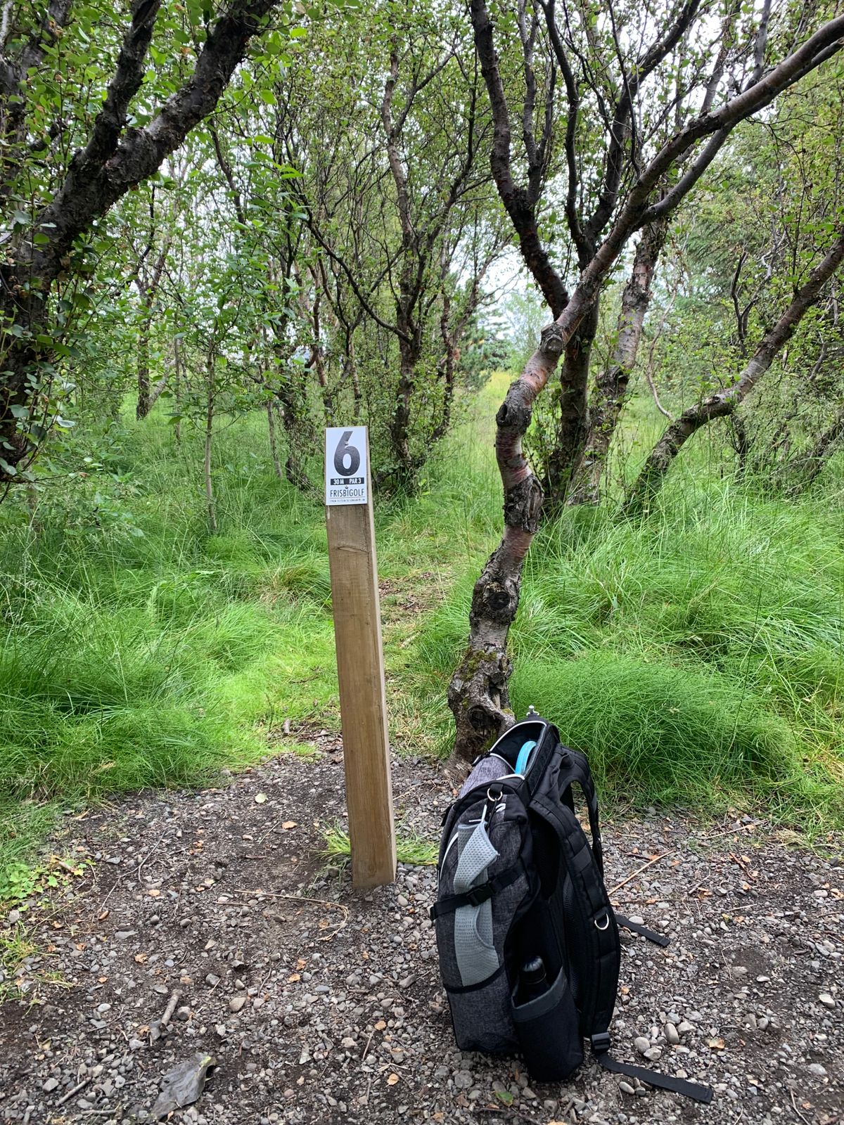 6th tee