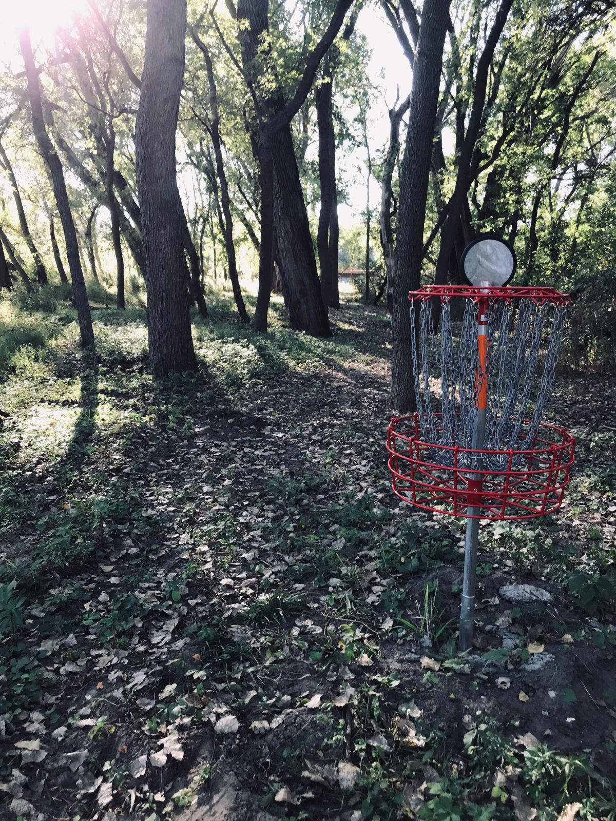 Hole 4 Basket Looking Back