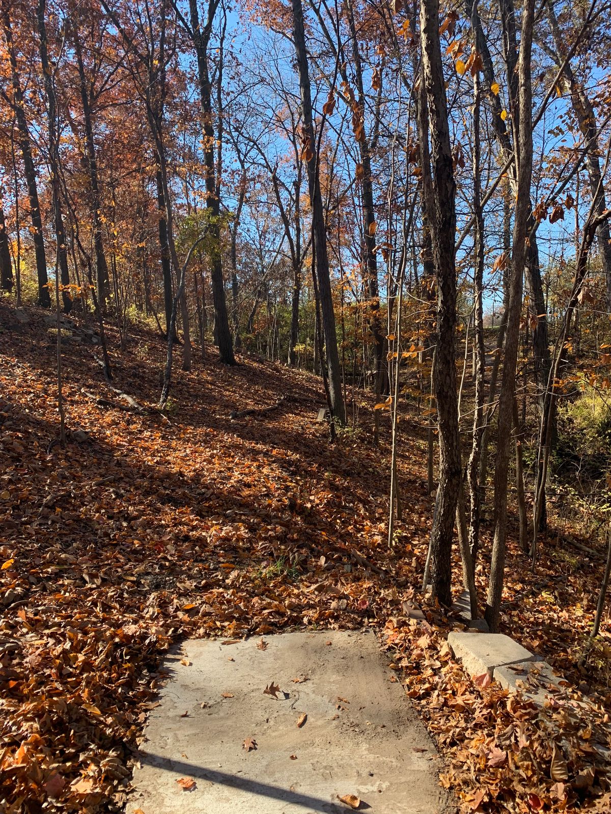 Hole 18 - Pro Tee