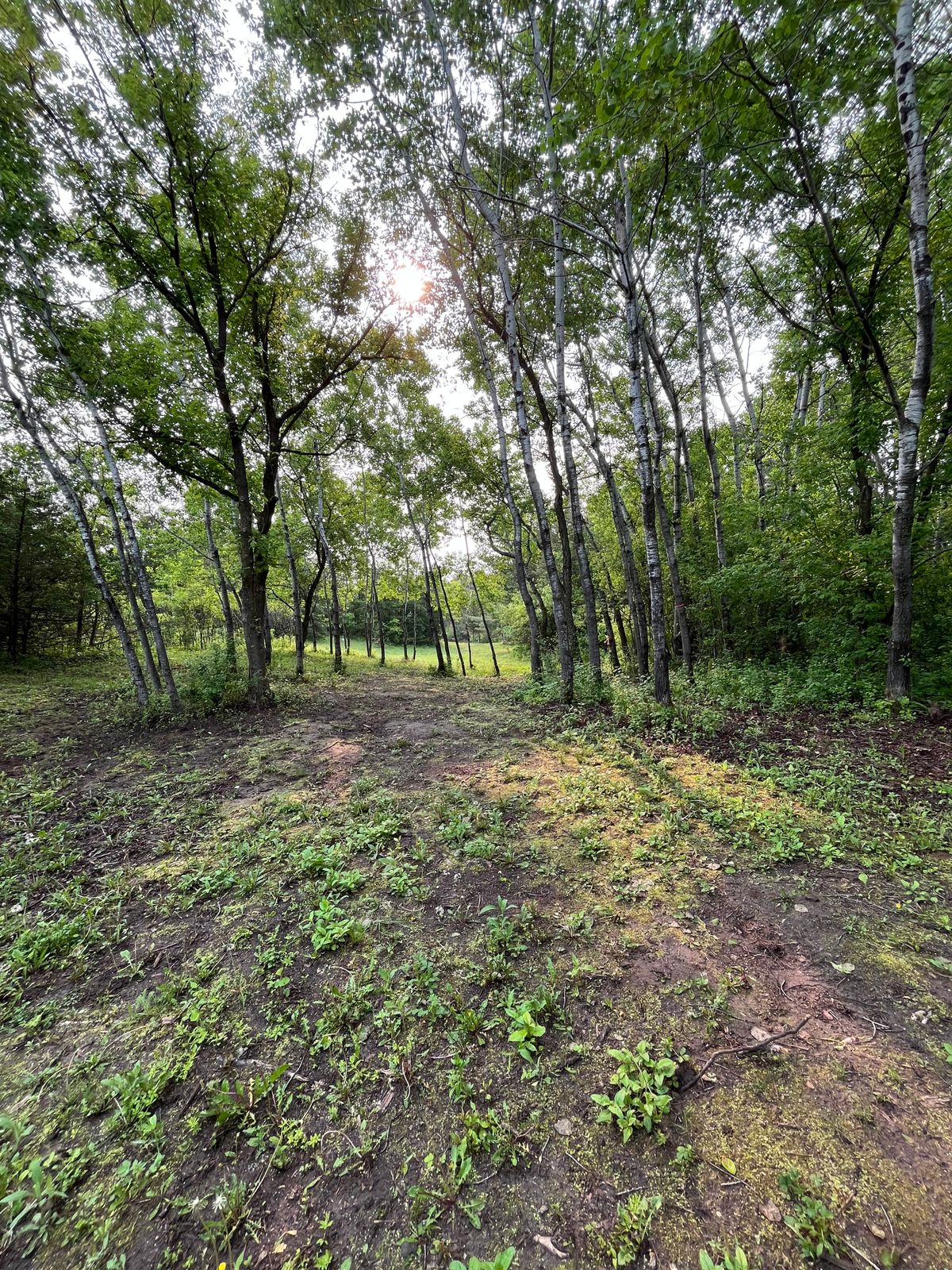 6’s fairway