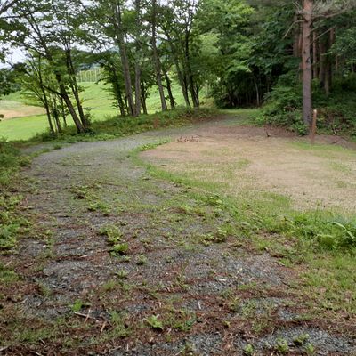 Hole 5 HJC