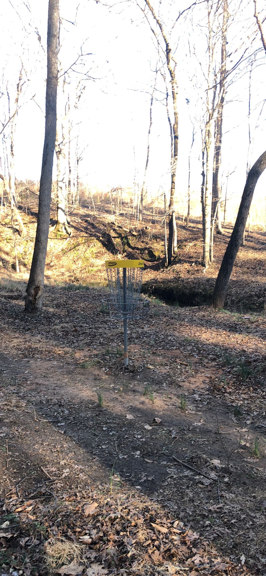 Hole 8 Basket