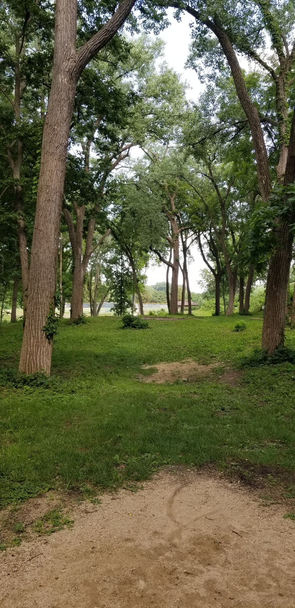 First hole (4) of Toilet Bowl layout.