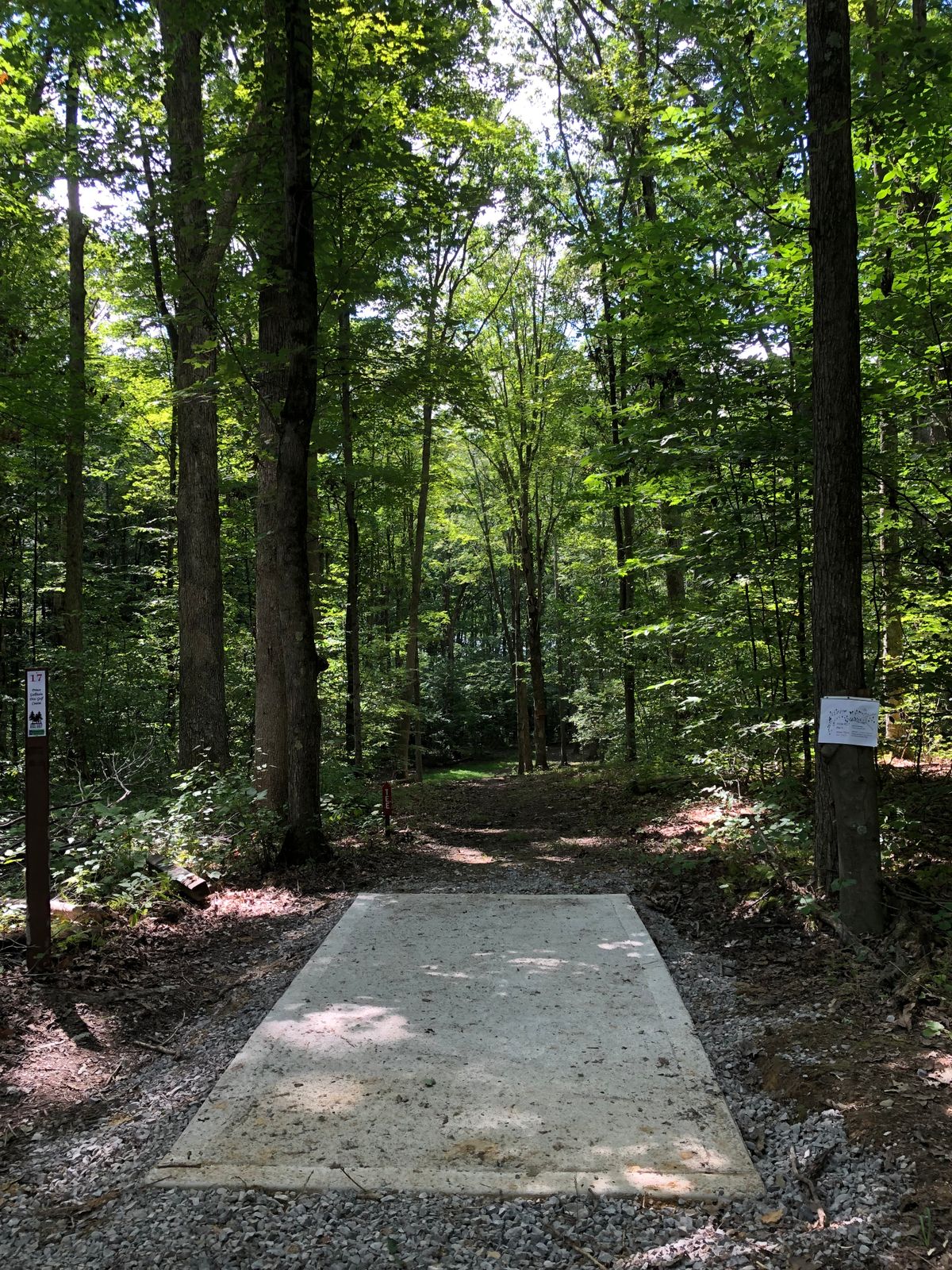 17 white tee
Par 5