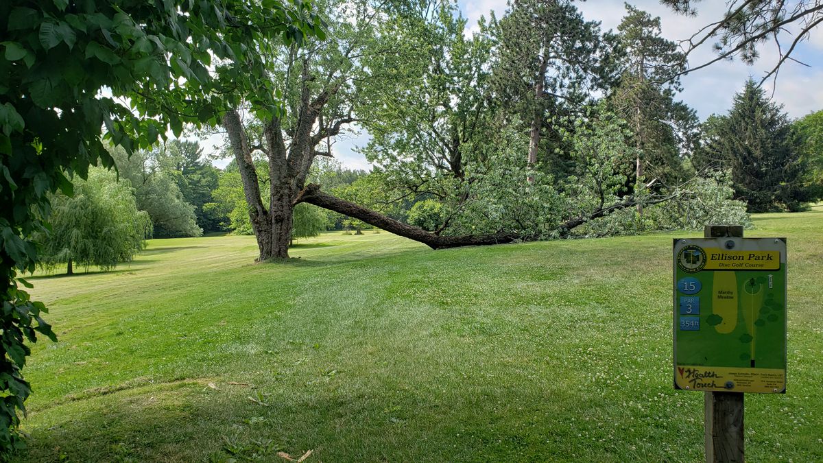 Took down that branch on 15 for u all today!
