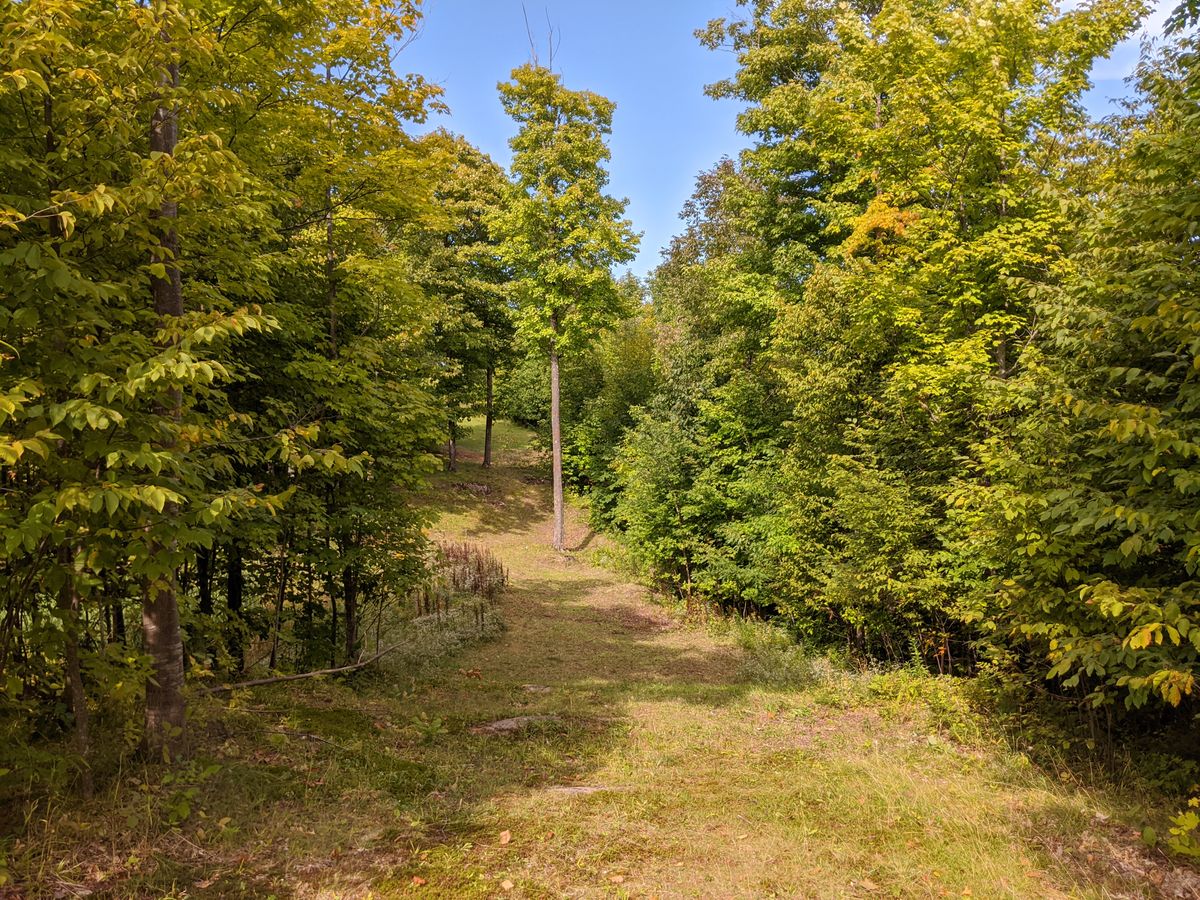 Hole 12 Teeshot on Bear