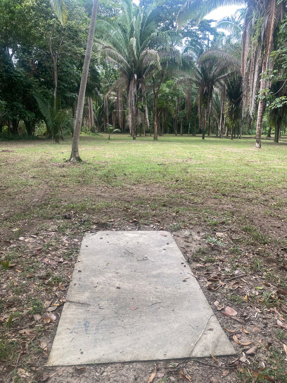 Hole 14