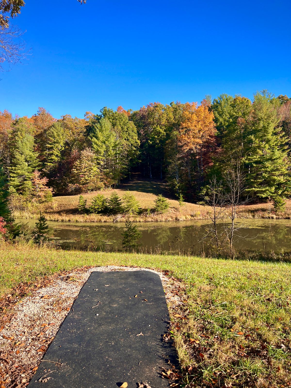 Hole 10