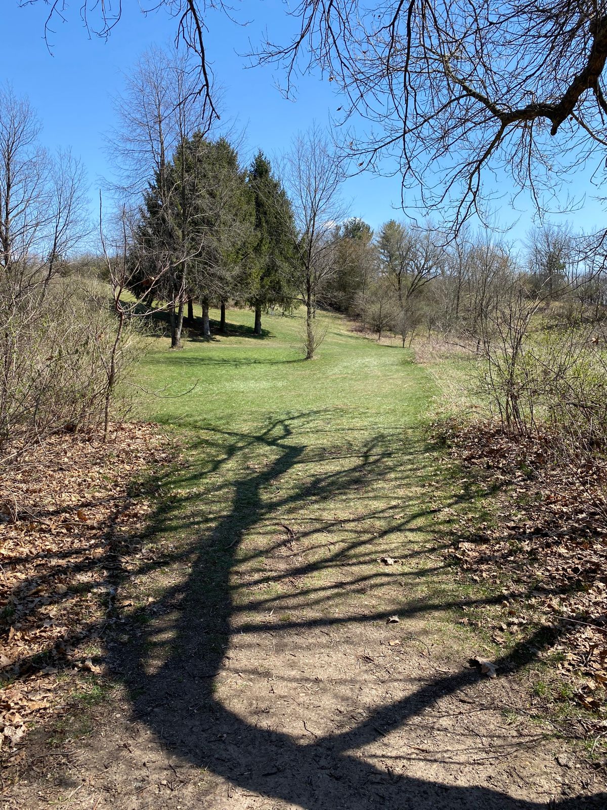 Tee pad 8/17