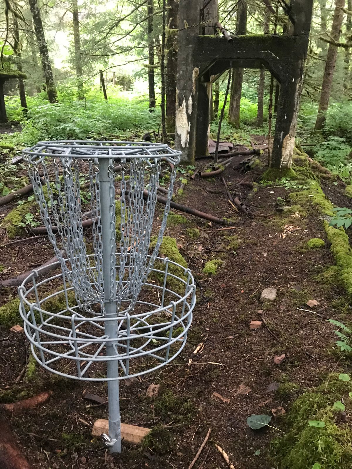 Hole 1: from the basket looking back at the tee pad