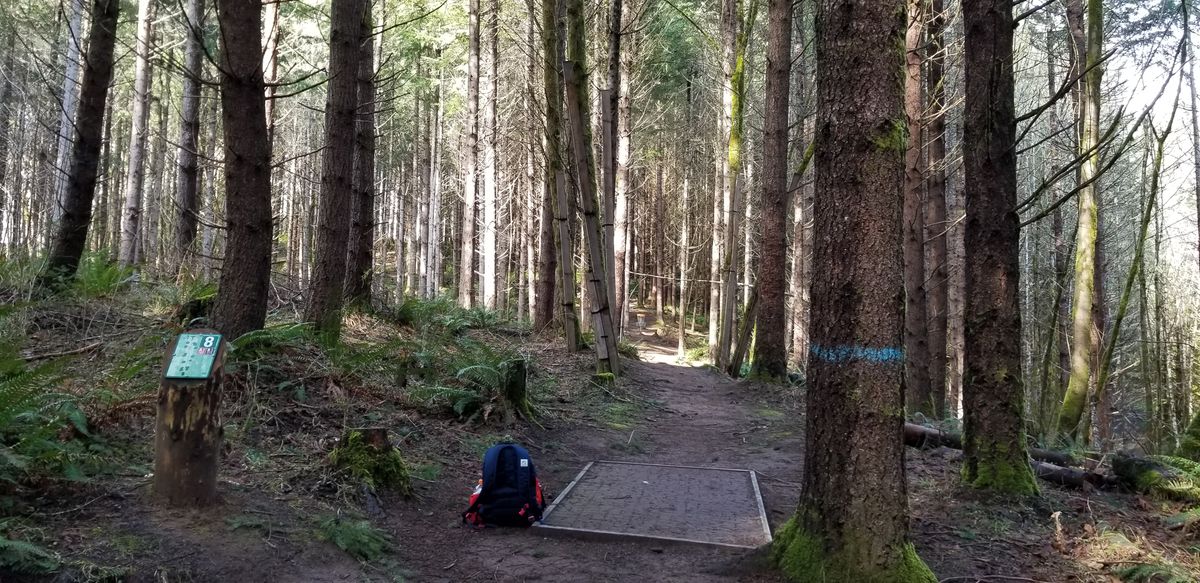 Hole 8