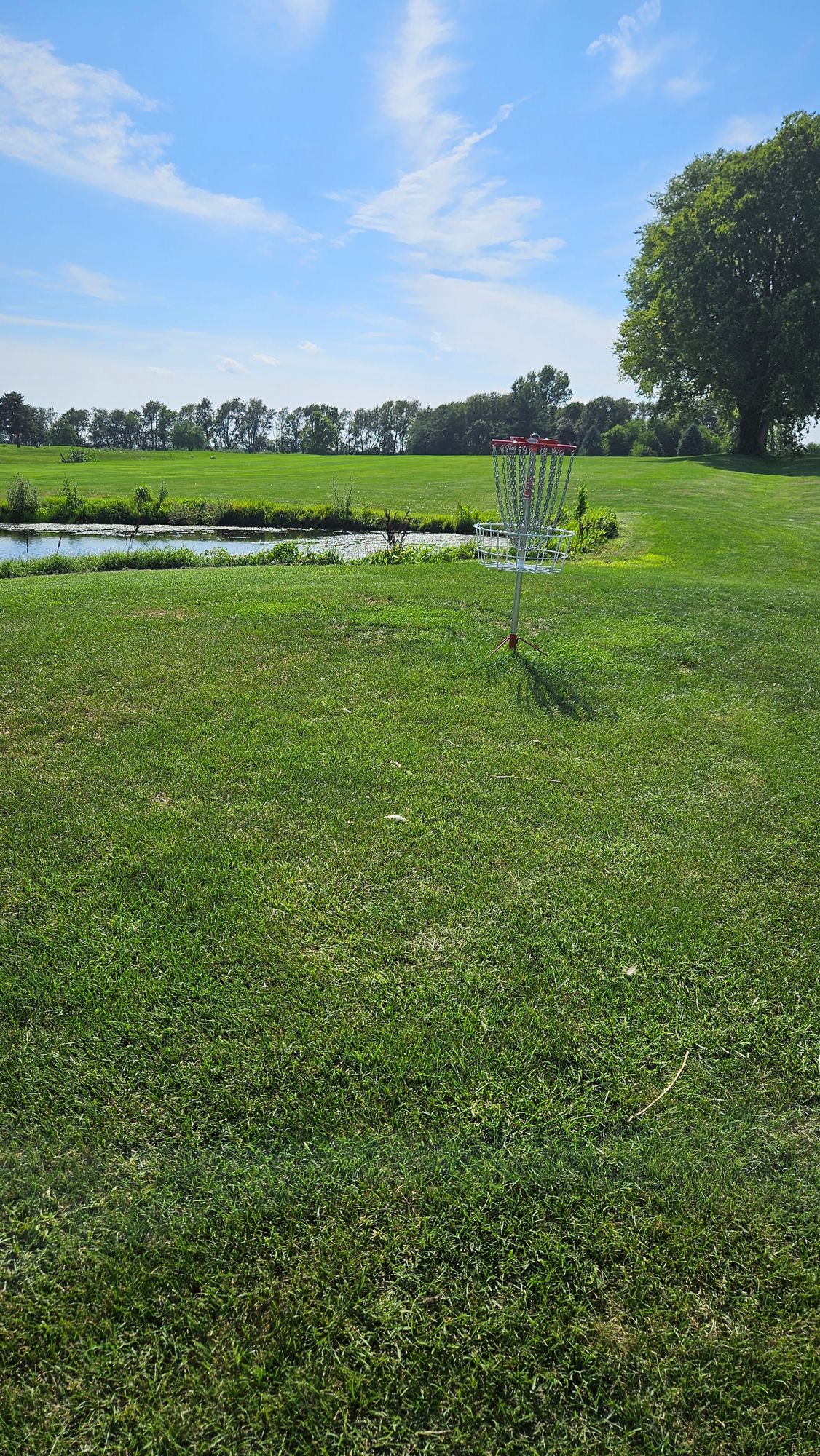 Hole 1 Basket