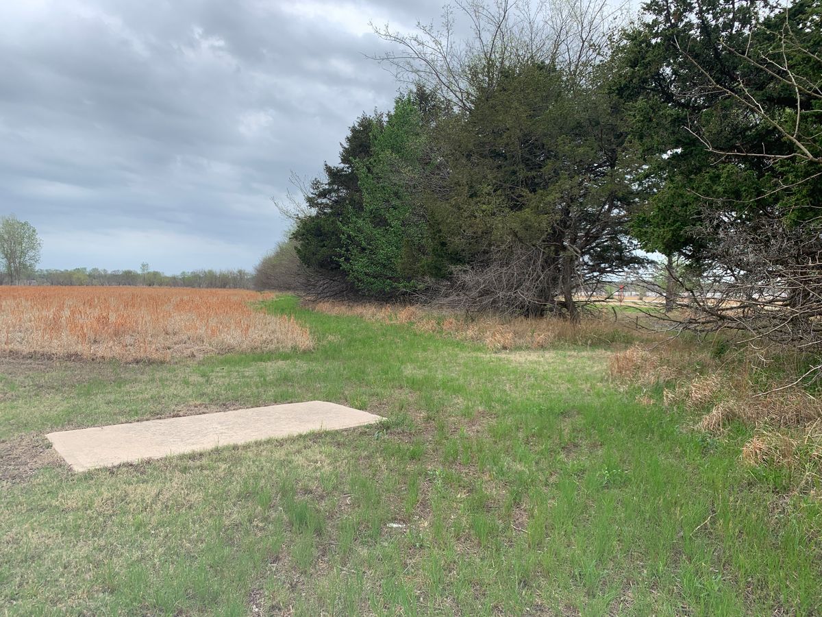 Hole 6 view of basket