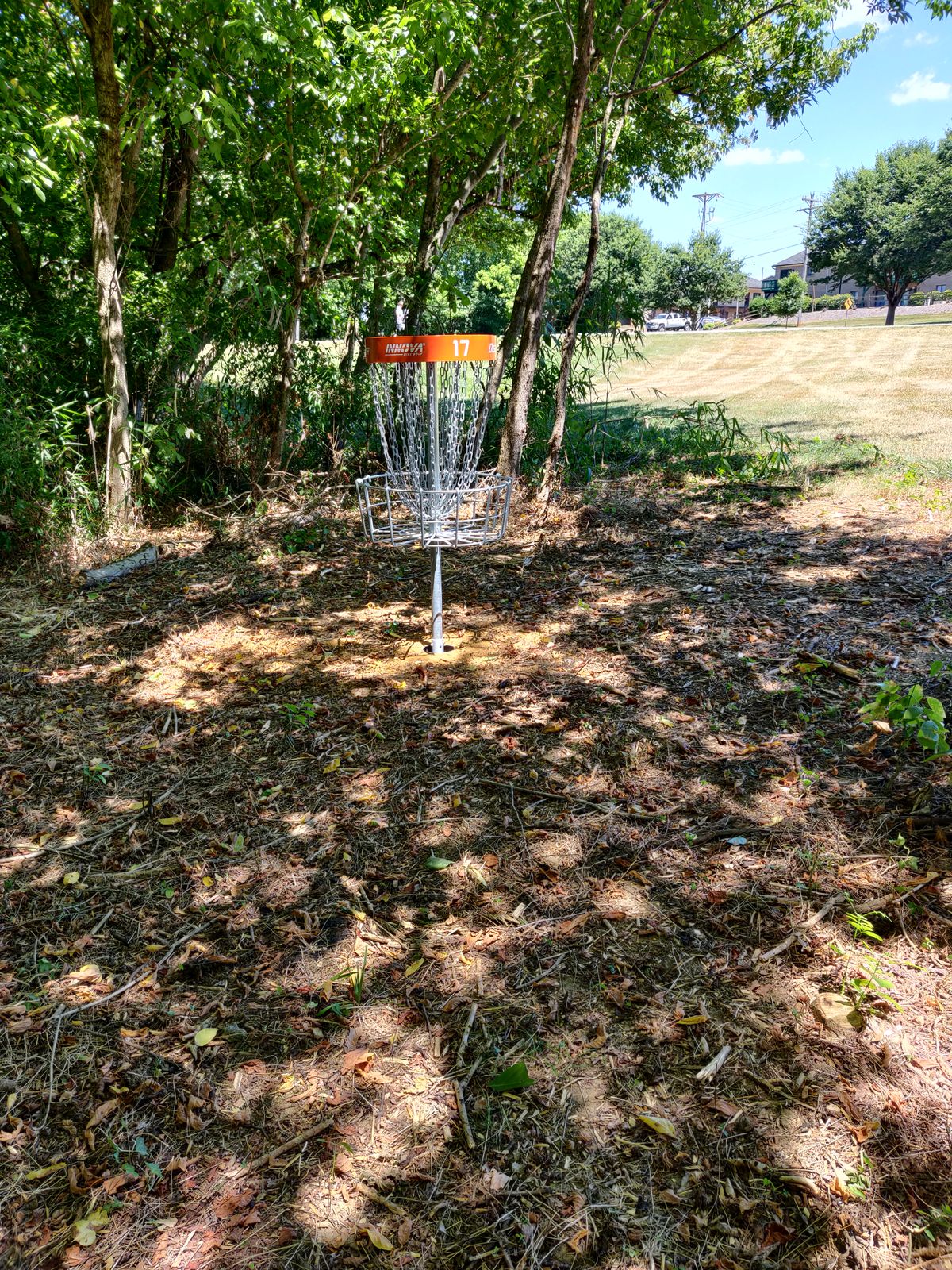 Hole 17 basket. Looking from the fairway.