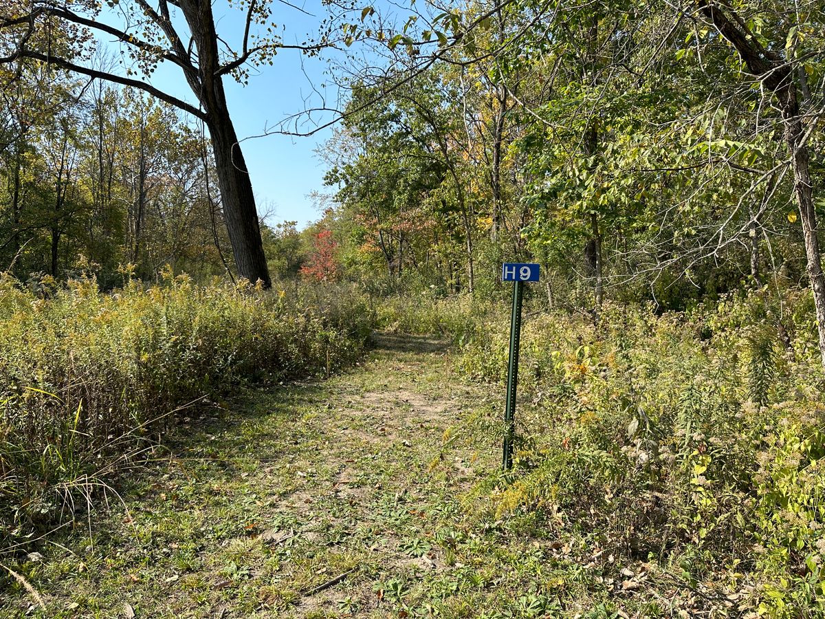 Hole 9 Tee