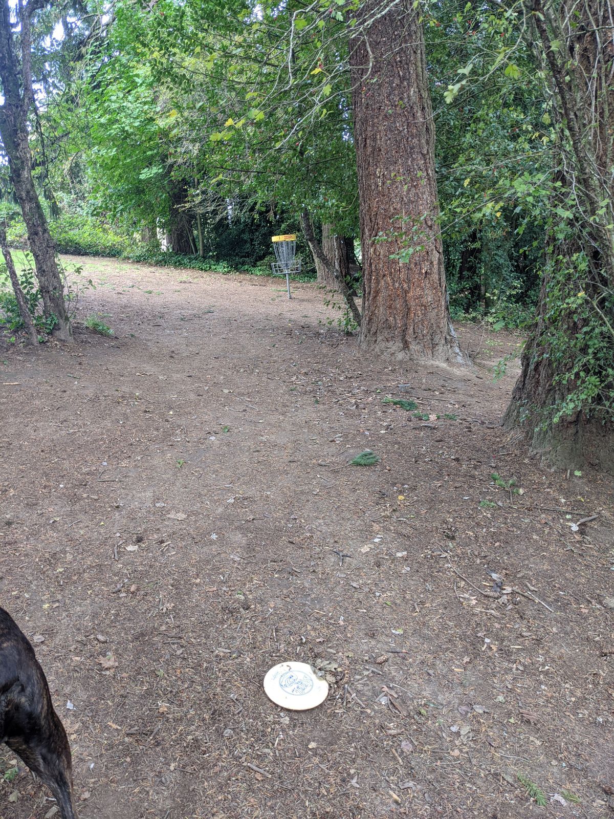 Hole 10