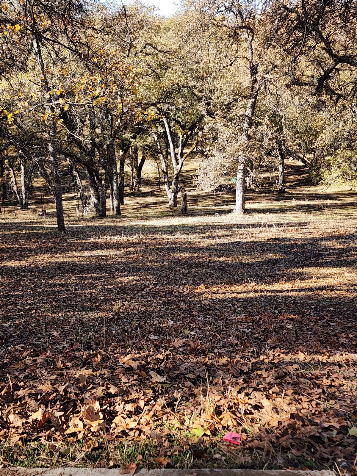 Hole 5 Tee