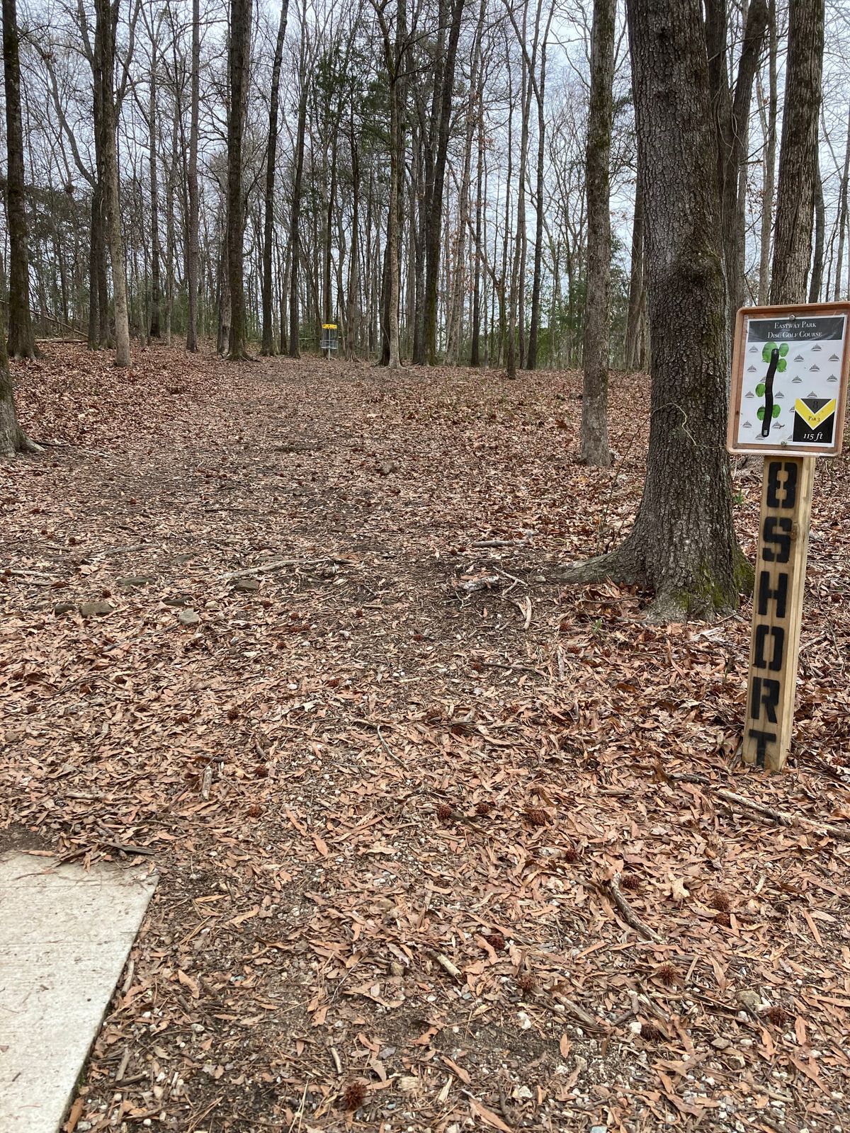 Short tee for hole 8. Hammer throw got me a birdie.