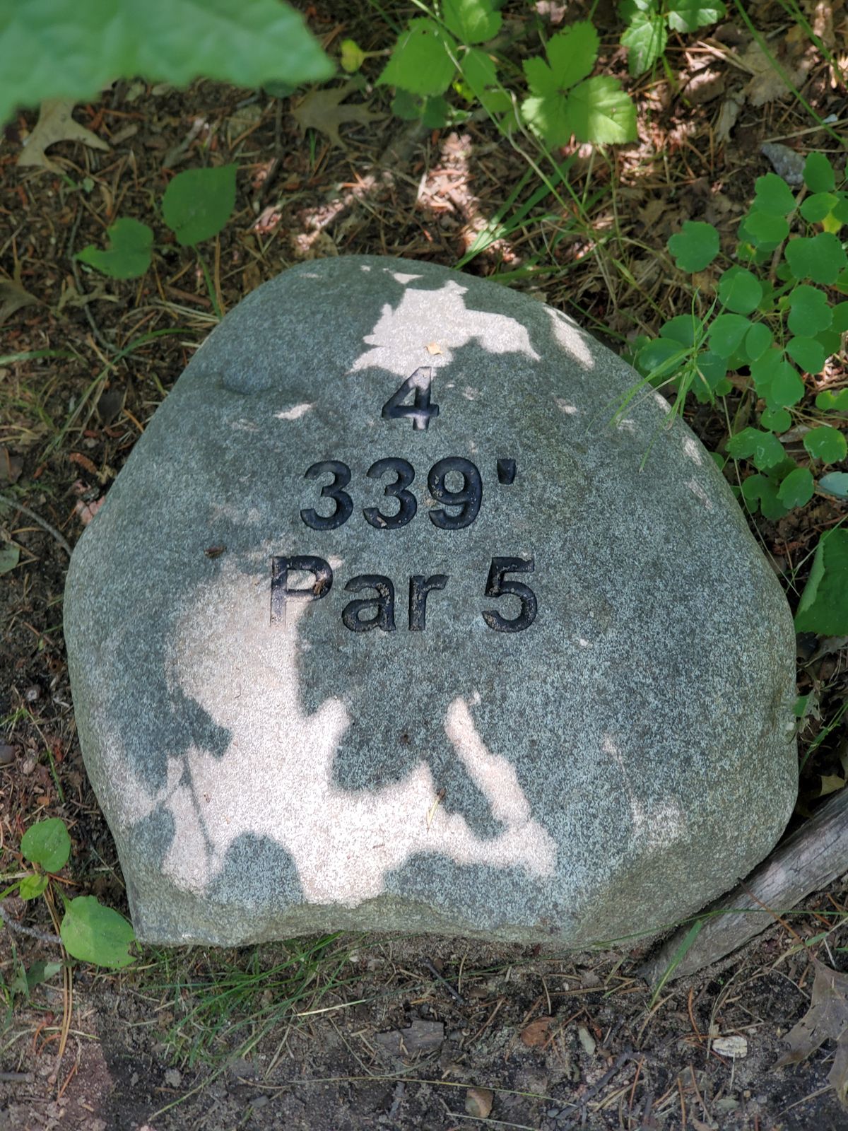 Hole 4