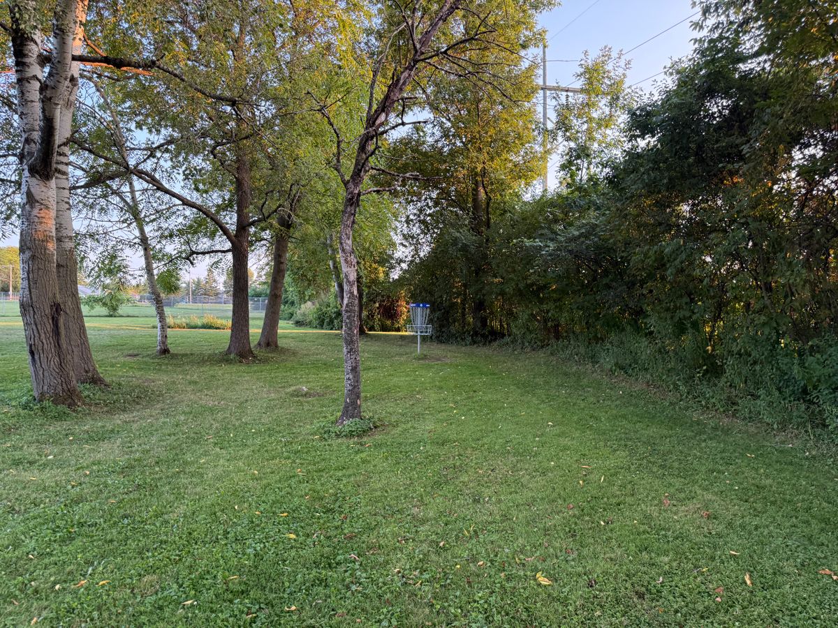 Hole 8 Green