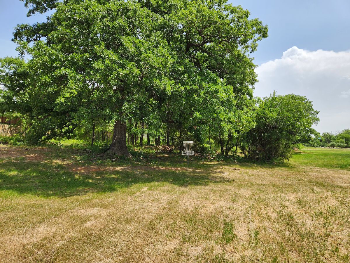 Hole 8 green