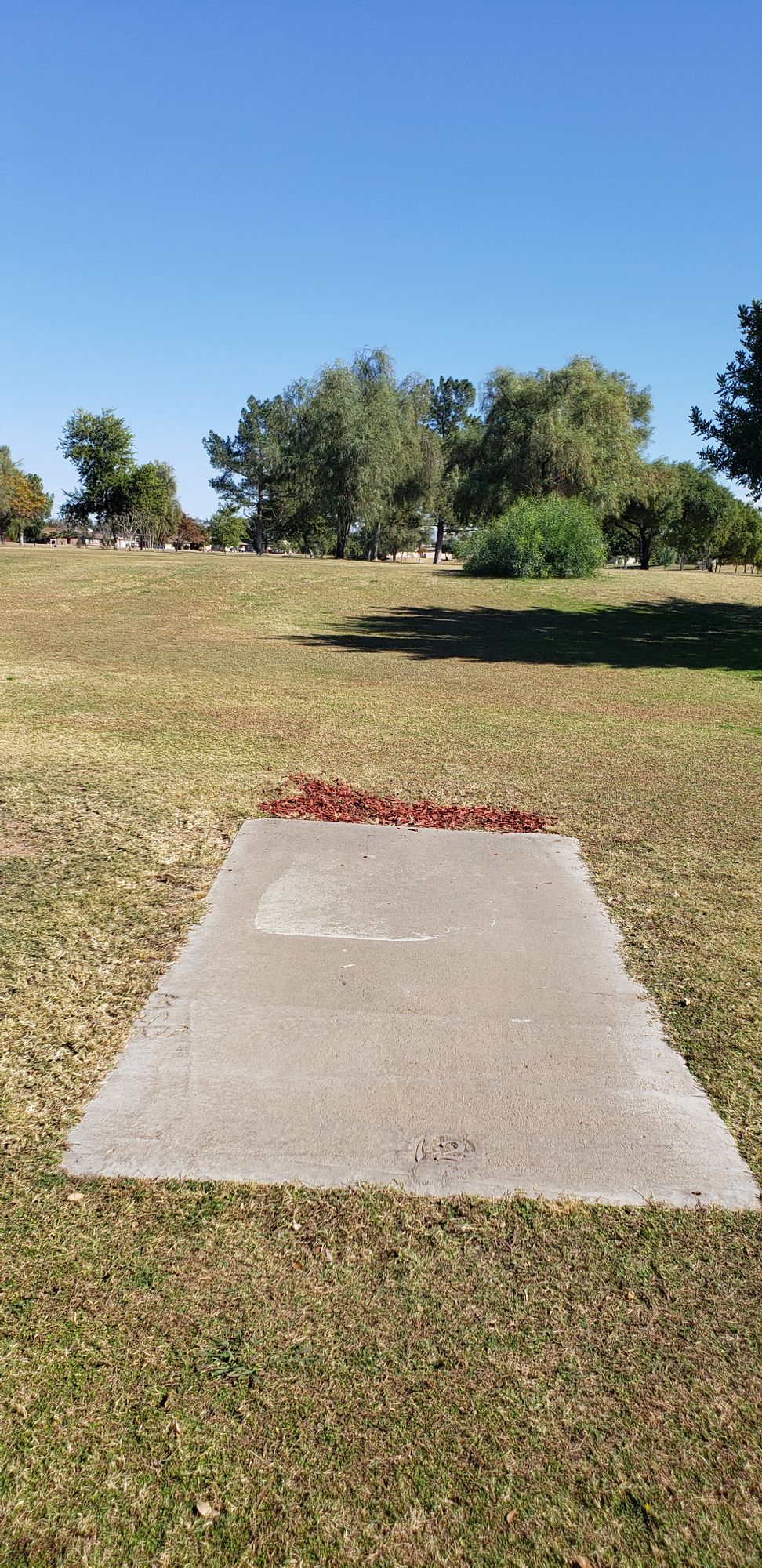 hole 12 tee