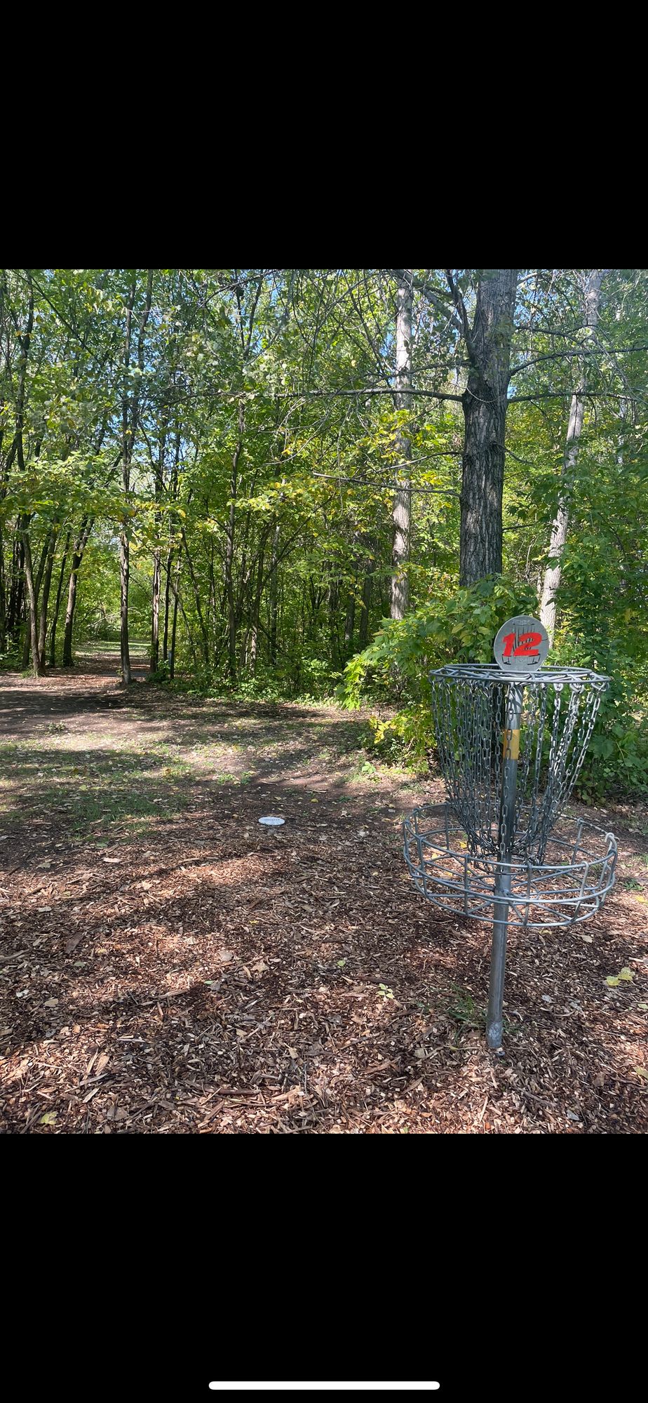 Hole 12 basket, hole 13 tee pad behind