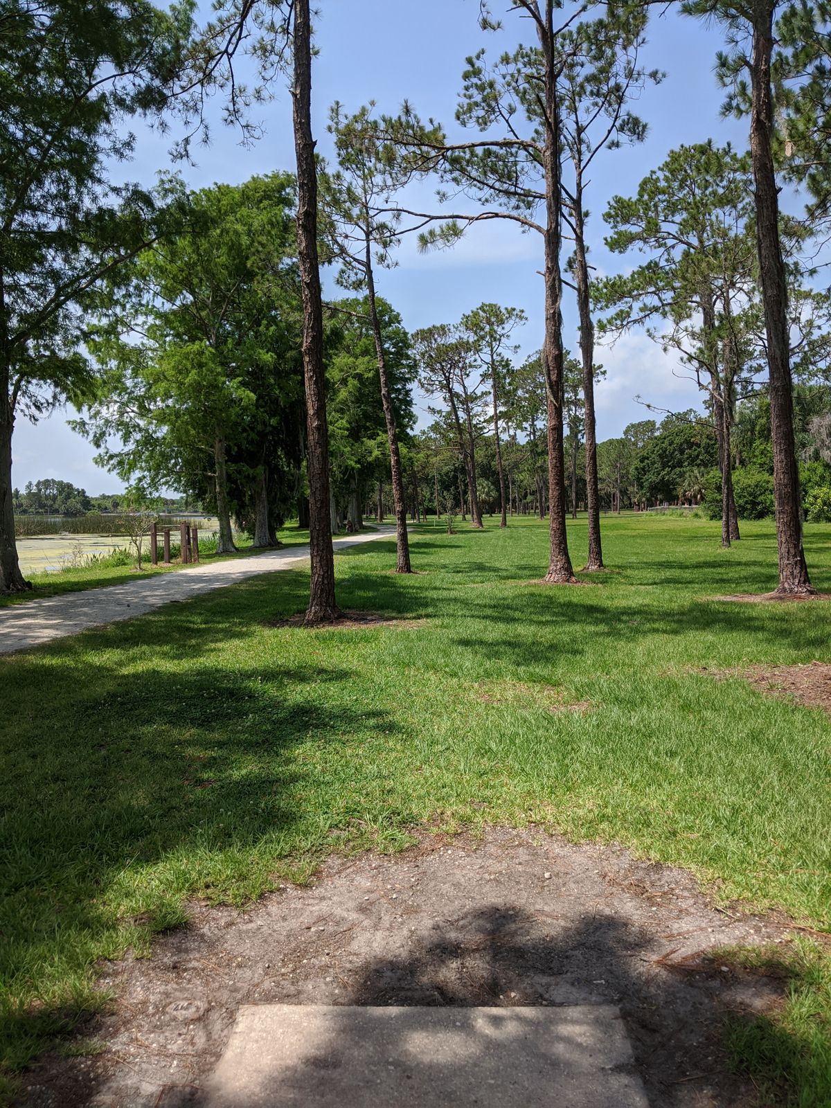 View off the tee of hole 13