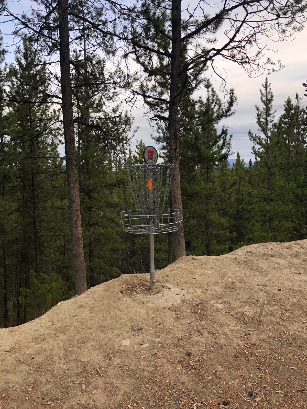 Hole 7 Basket