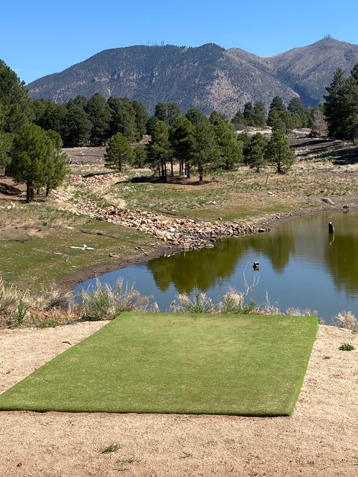 Favorite hole - #2 over the water.