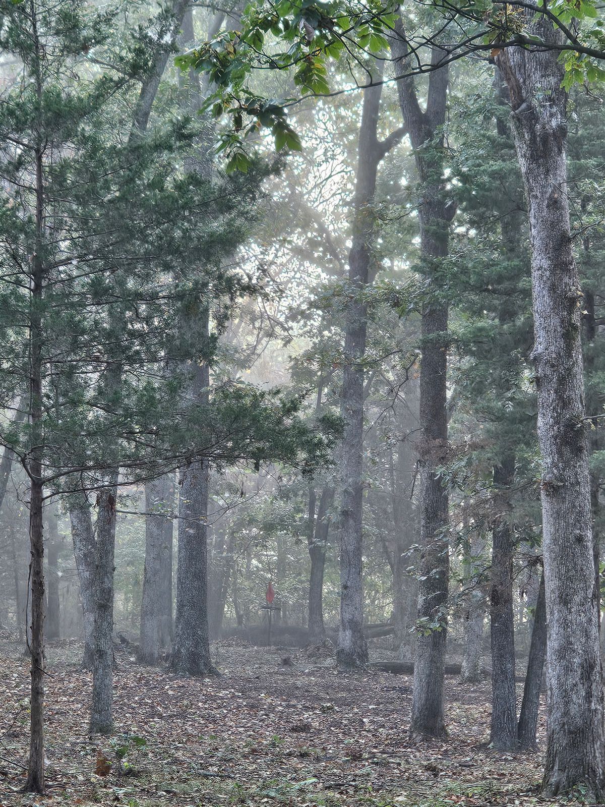 Hole 7 left side fairway