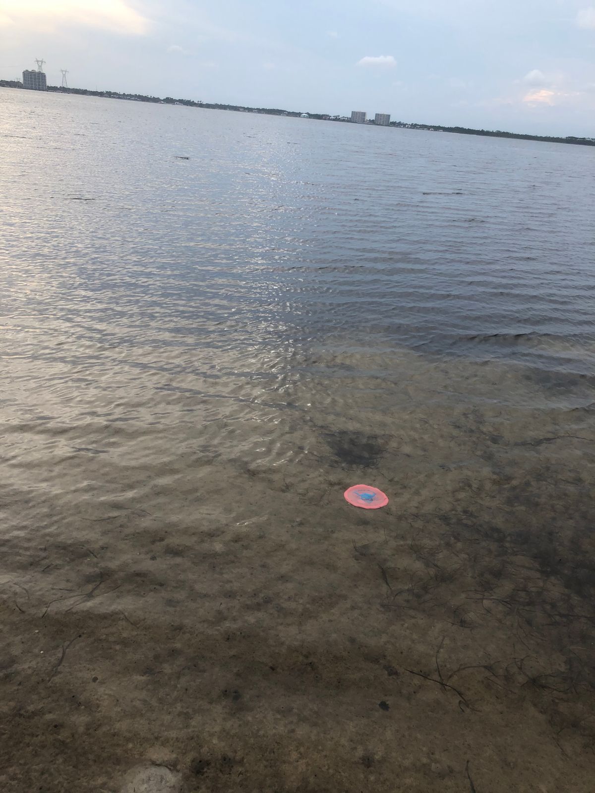 You’ll probably be swimming