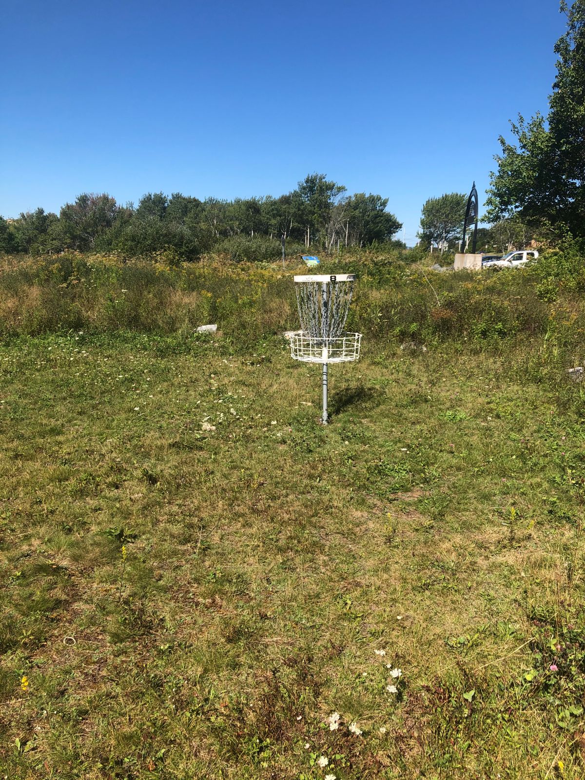 Hole 8 basket in the “island”
