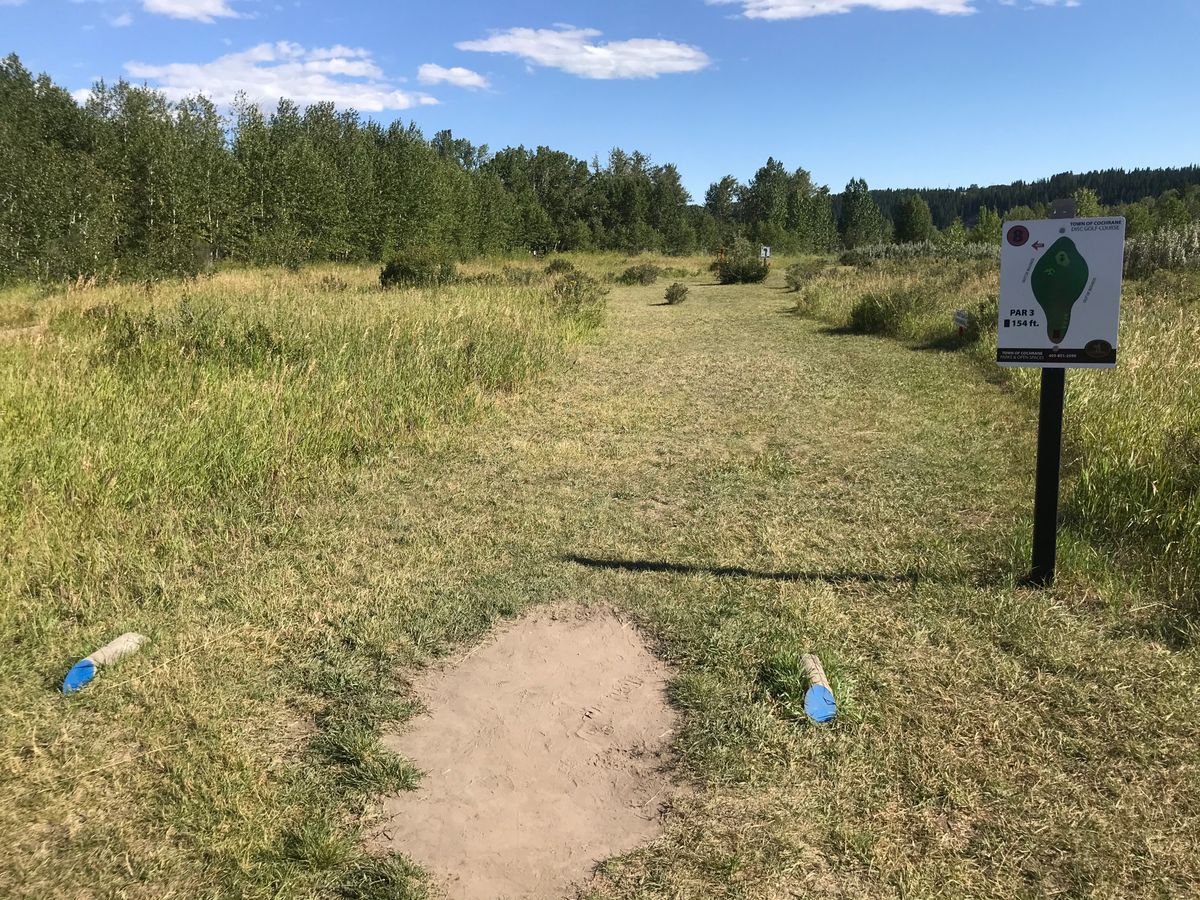 Hole 8 tee box