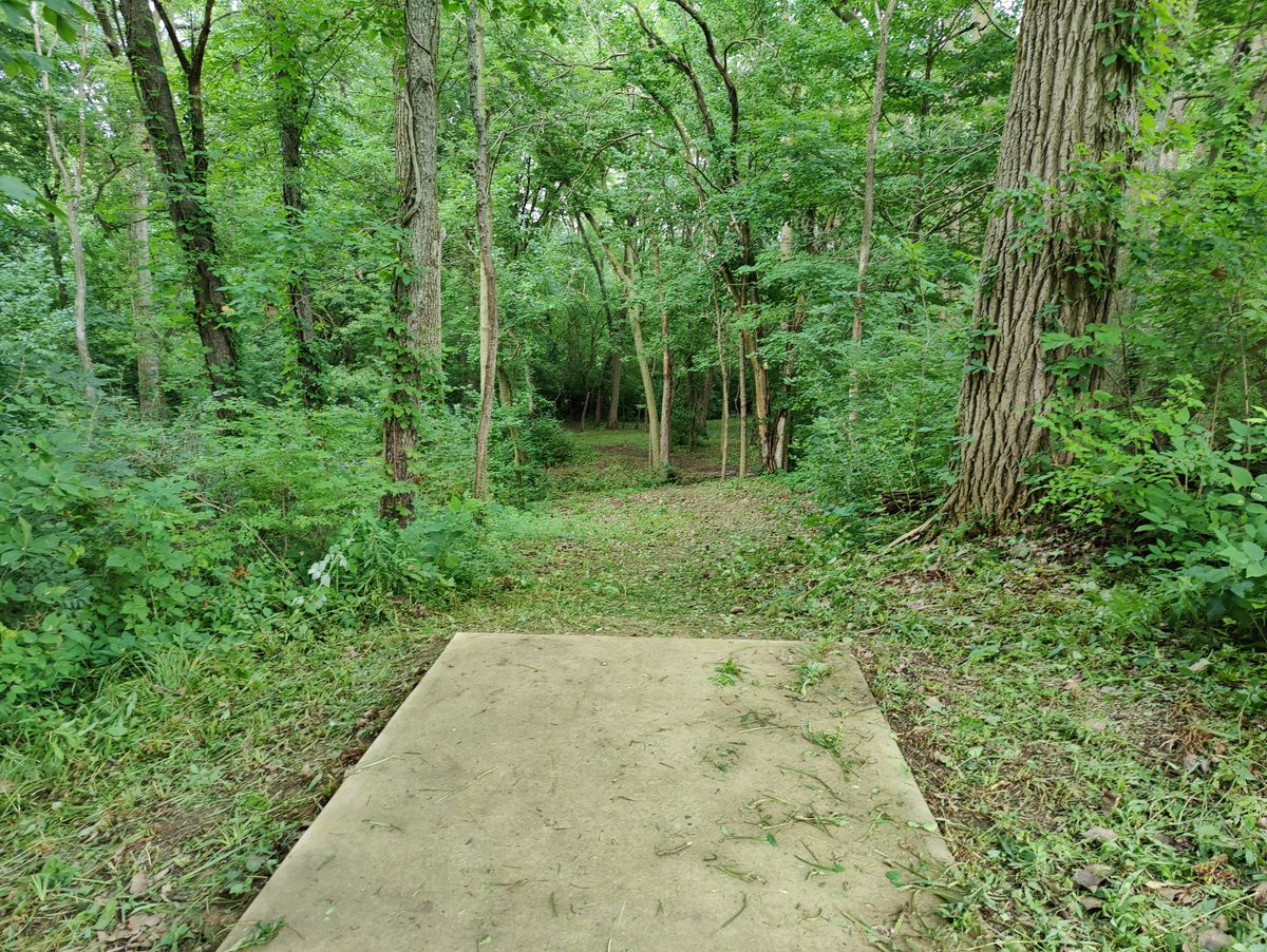 Hole 4