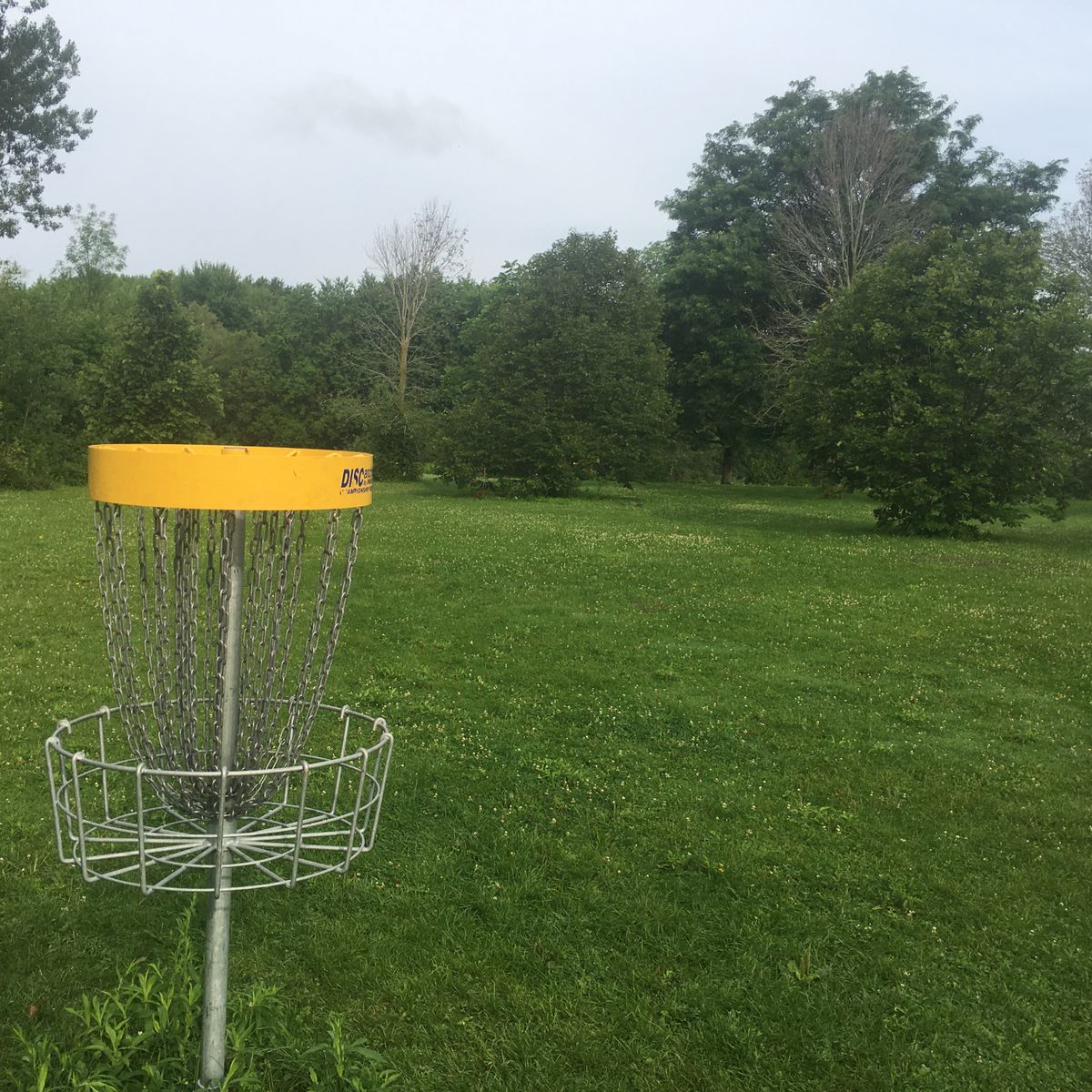 Reverse back up fairway on hole 7🌳🇨🇦🌳🇨🇦